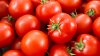 Entran en vigor aranceles de 17% a mayoría de tomates importados de México