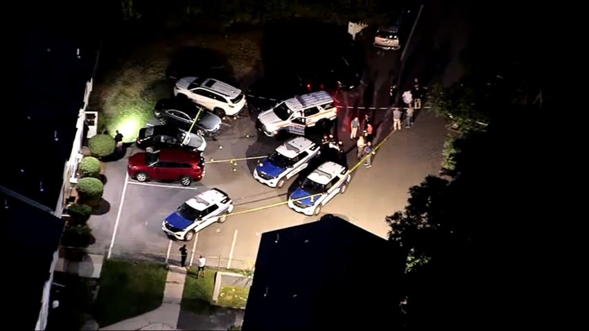 Boston police cruisers at the scene of a dog attack in Dorchester on Monday, Aug. 25, 2025.