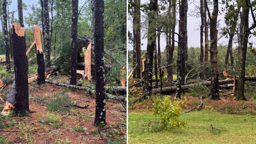 Tree damage in Paxton, Massachusetts, after an intense storm blew through the area on Saturday, Sept. 6, 2025.