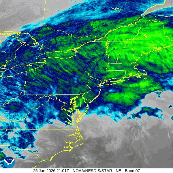 Radar interactivo: Sigue el paso de la tormenta Nor’easter