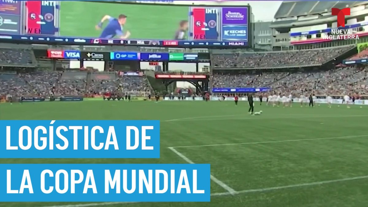 Logística del estadio