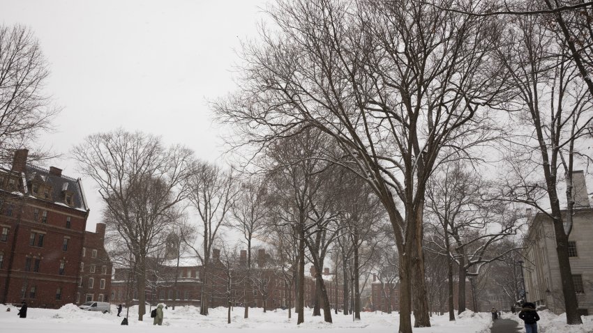 CAMBRIDGE, MASSACHUSETTS, — 25 de febrero: Vista general del campus de la Universidad de Harvard cubierto de nieve. (Foto de Sydney Roth/Anadolu vía Getty Images)
