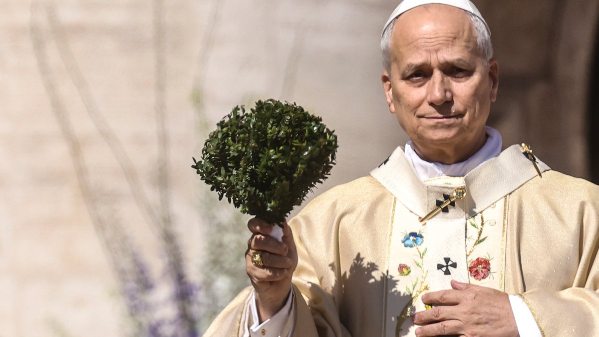 El papa León insta a la paz en su primera Misa de Pascua – Telemundo ...