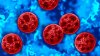 Connecticut reporta 94 casos de ciclosporiasis, según el DPH
