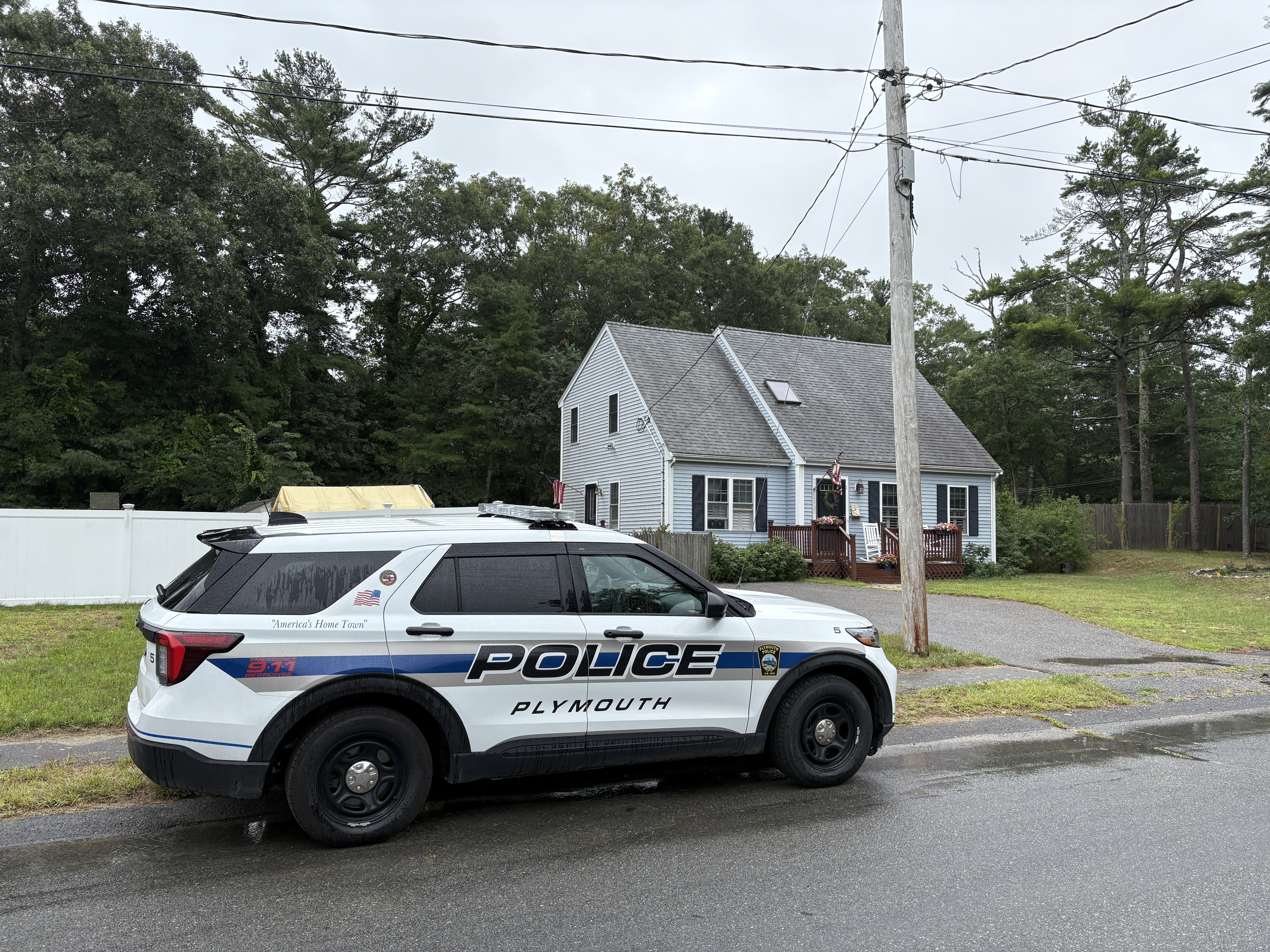 Mujer muere tras la caída de un árbol en Plymouth