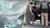 Reportes de actividad de ICE en New Bedford provocan críticas de alcalde y gobernadora