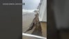 Costa Sur de Mass. en plenas labores de limpieza tras el paso de la tormenta